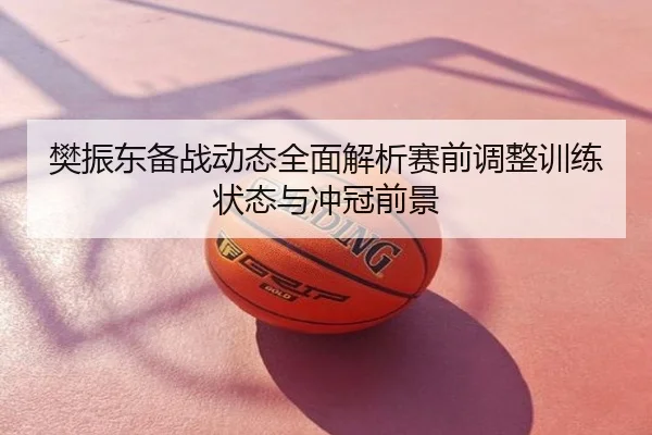 樊振东备战动态全面解析赛前调整训练状态与冲冠前景